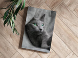 Cat Aluminum Print.