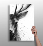 Deer Aluminum Print.