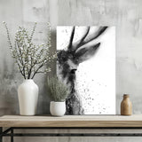 Deer Aluminum Print.