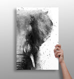 Elephant Aluminum Print.