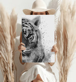 Tiger Aluminum Print.