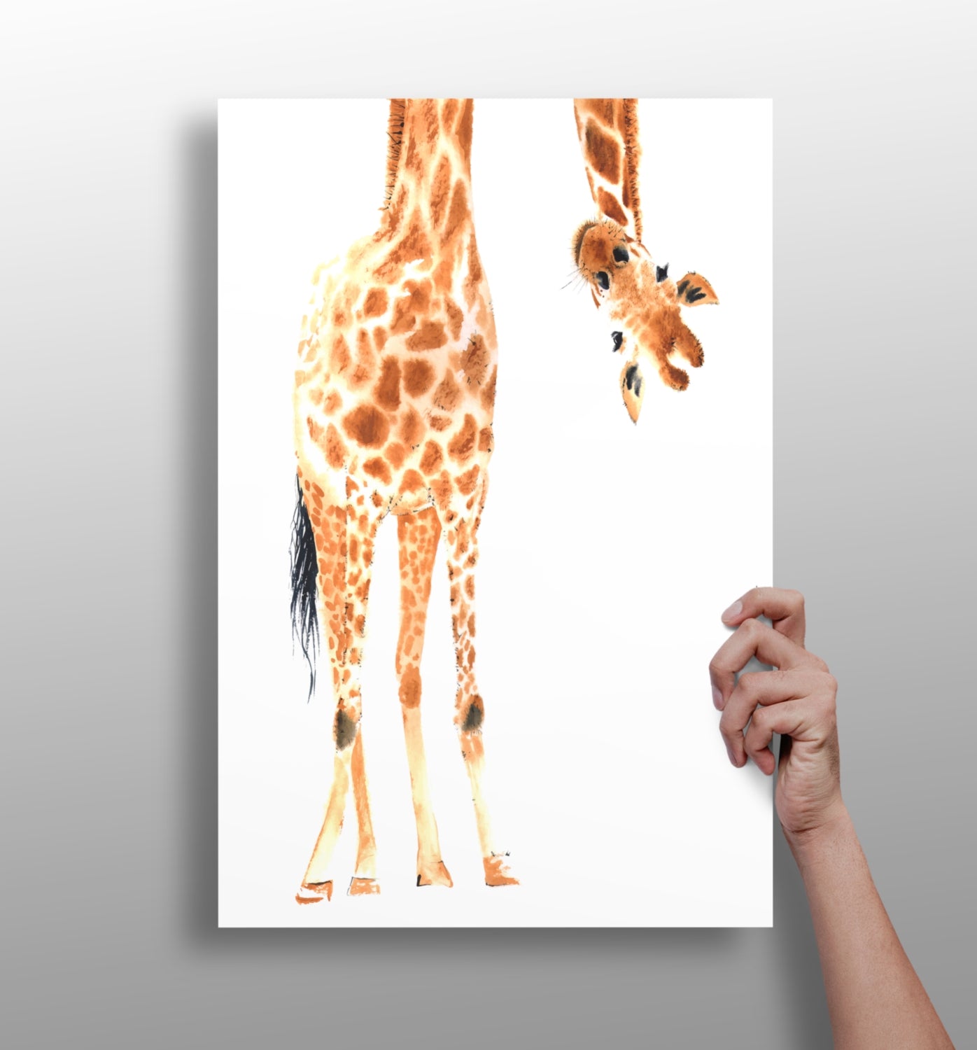 Giraffe Aluminum Print.