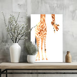 Giraffe Aluminum Print.