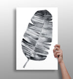 Feather Aluminum Print.