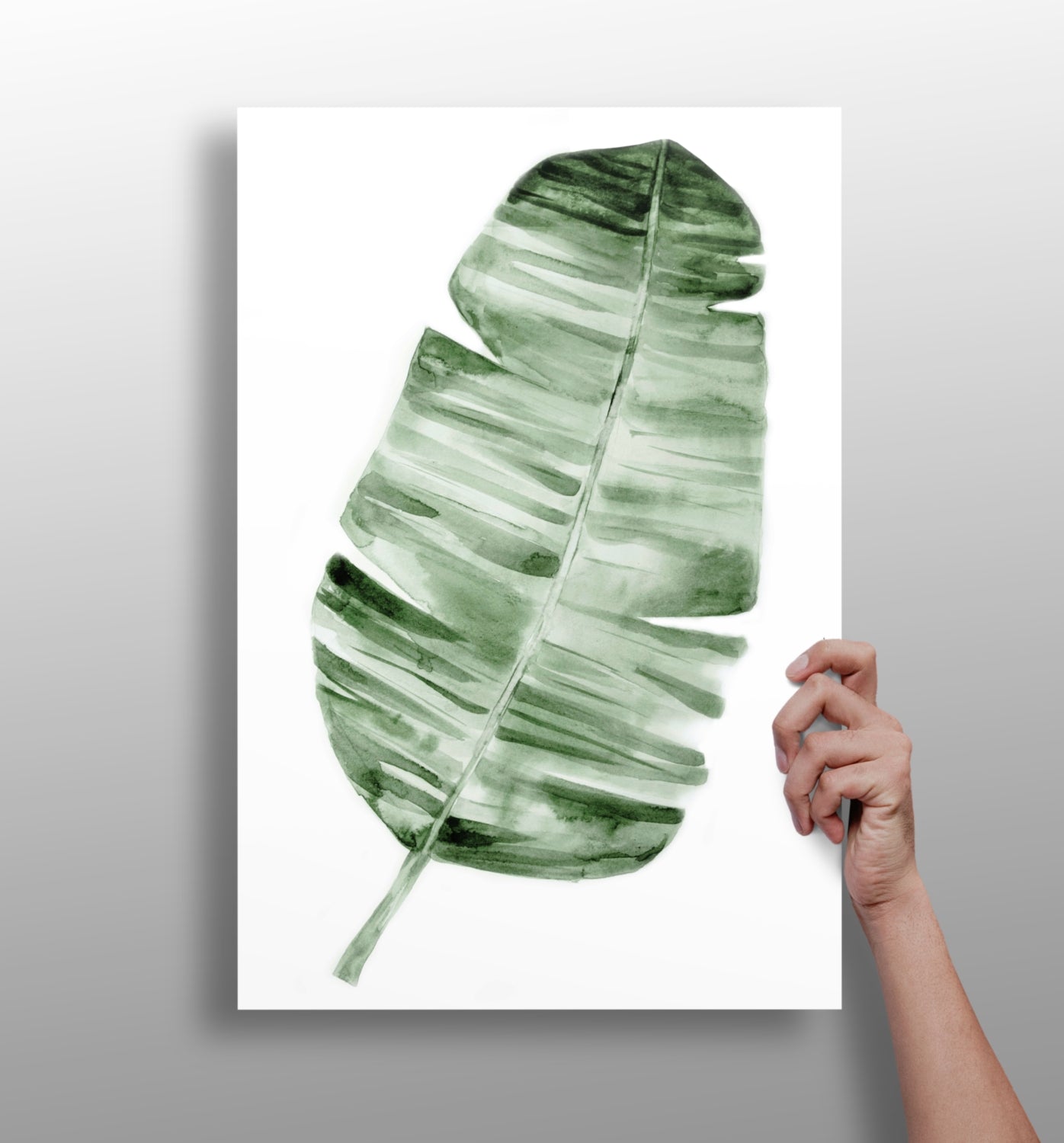 Feather Aluminum Print.