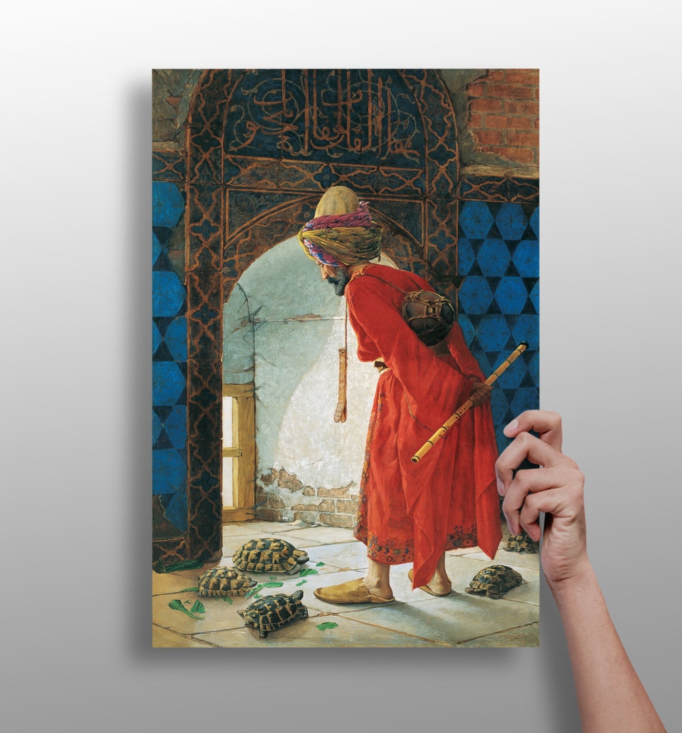 The Tortois Trainer Aluminum Print.