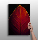 Red Leaf Aluminum Print.