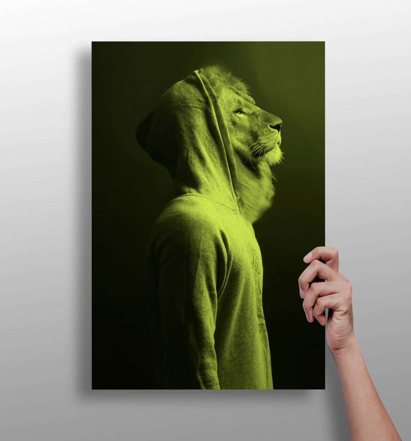 Lion Aluminum Print.