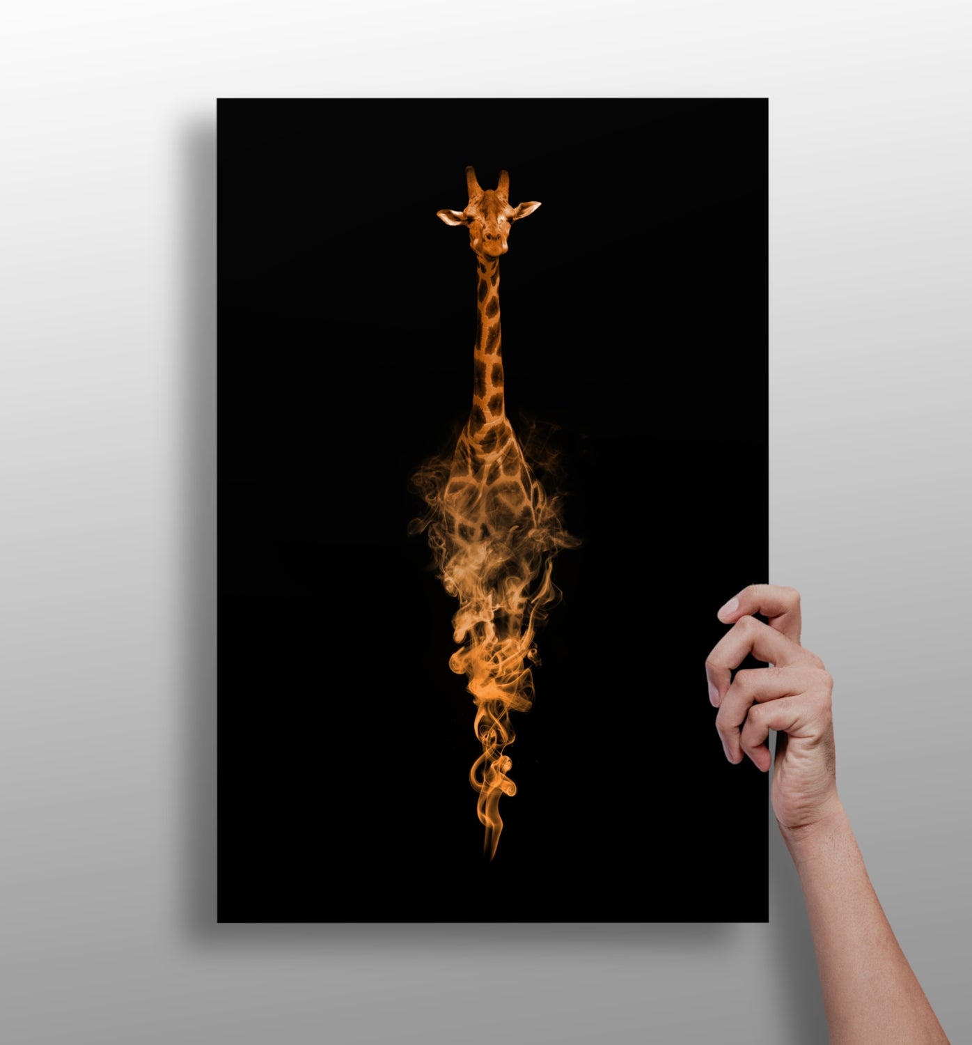 Giraffe Aluminum Print.