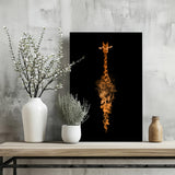 Giraffe Aluminum Print.