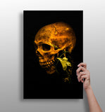 Skull Aluminum Print.
