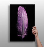 Purple Feather Aluminum Print.