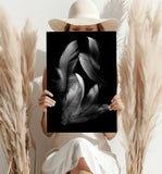 Feathers Aluminum Print.