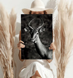 Antilope Aluminum Print.