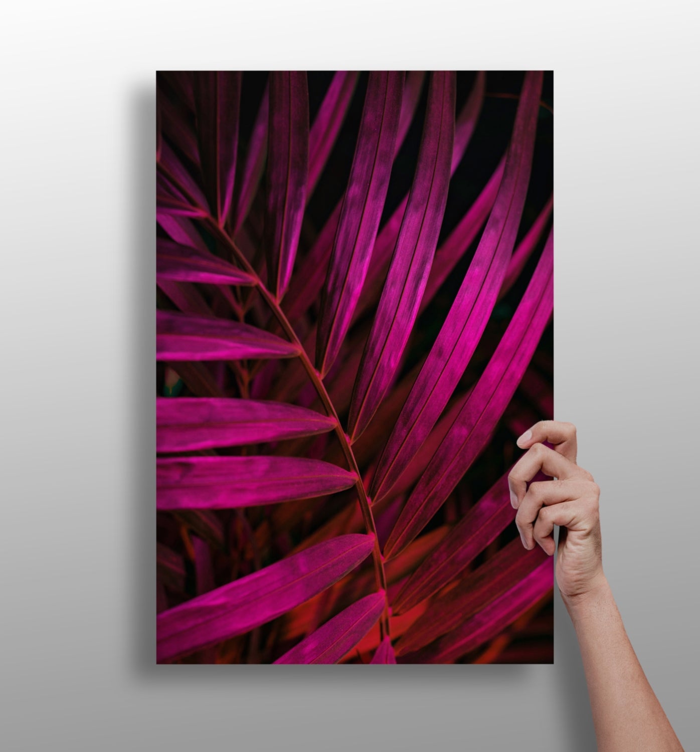 Fuschia Leaf Aluminum Print.
