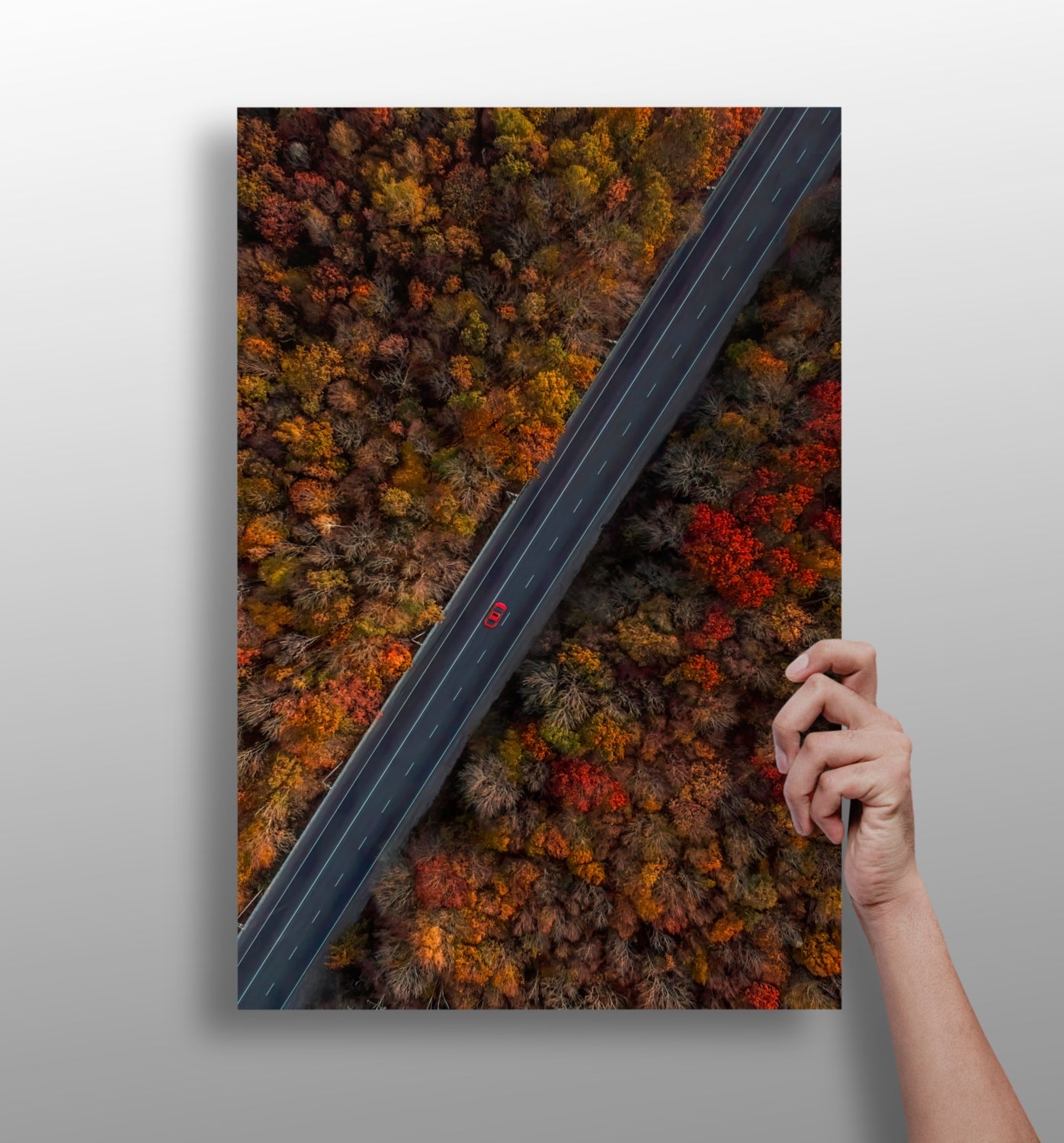 Outdoor Aluminum Print.