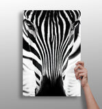 Zebra Portrait Aluminum Print.