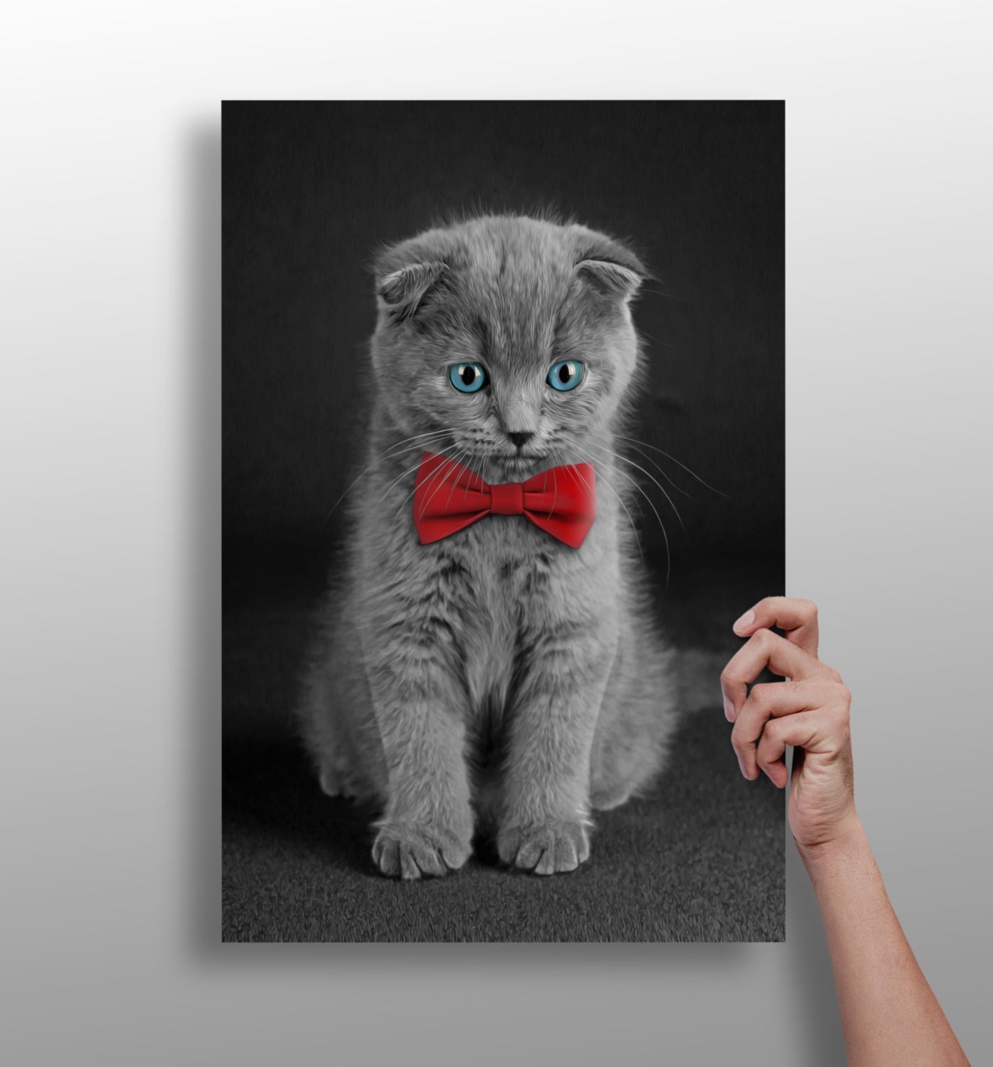 Cute Kitten Aluminum Print.