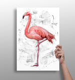 Flamingo Aluminum Print.