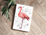 Flamingo Aluminum Print.