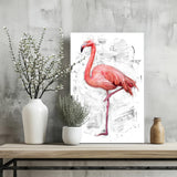 Flamingo Aluminum Print.