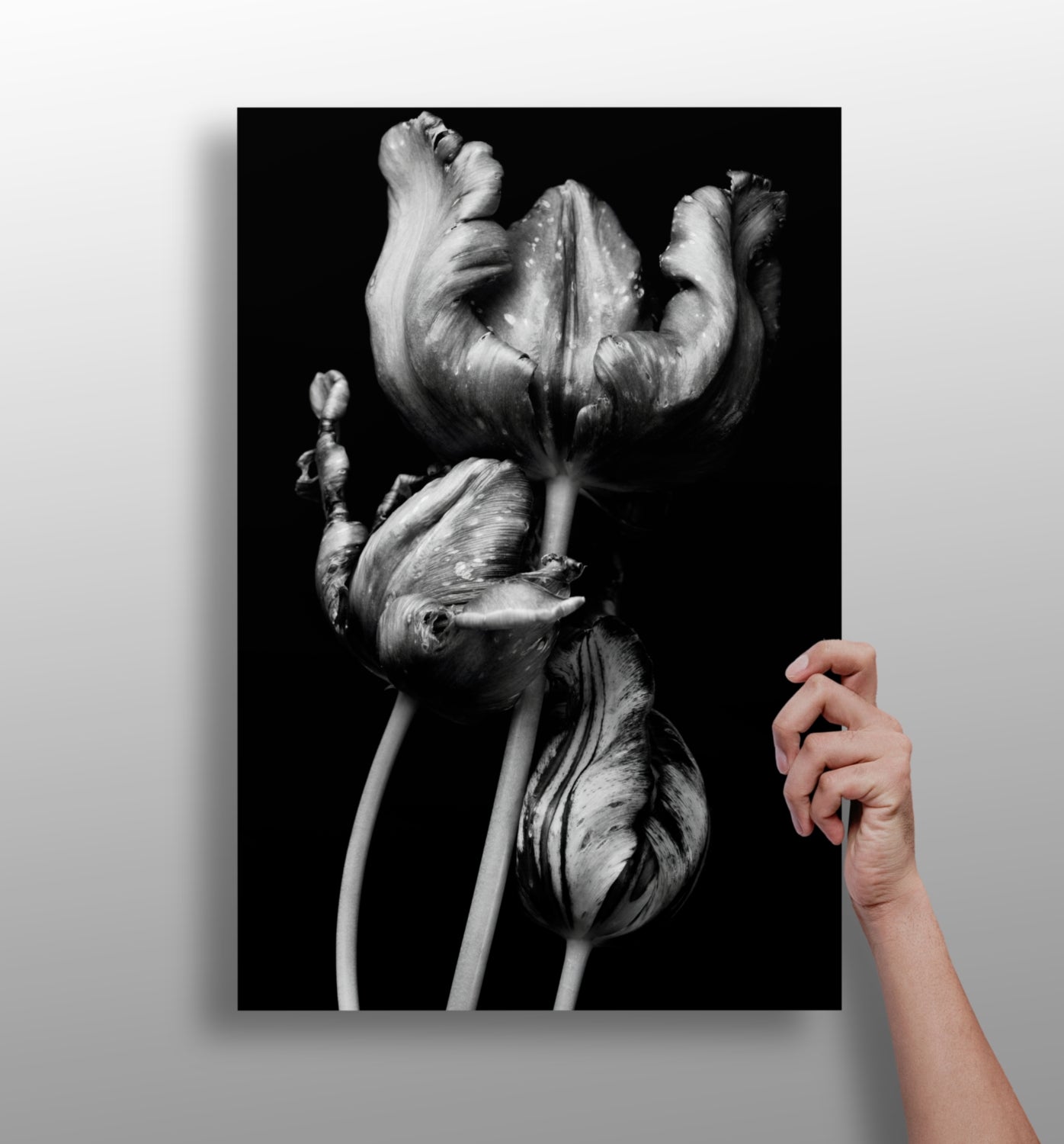 Flowers Aluminum Print.