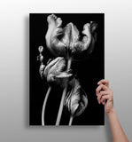 Flowers Aluminum Print.