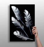 Feathers Aluminum Print.