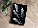 Feathers Aluminum Print.