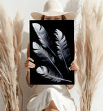 Feathers Aluminum Print.