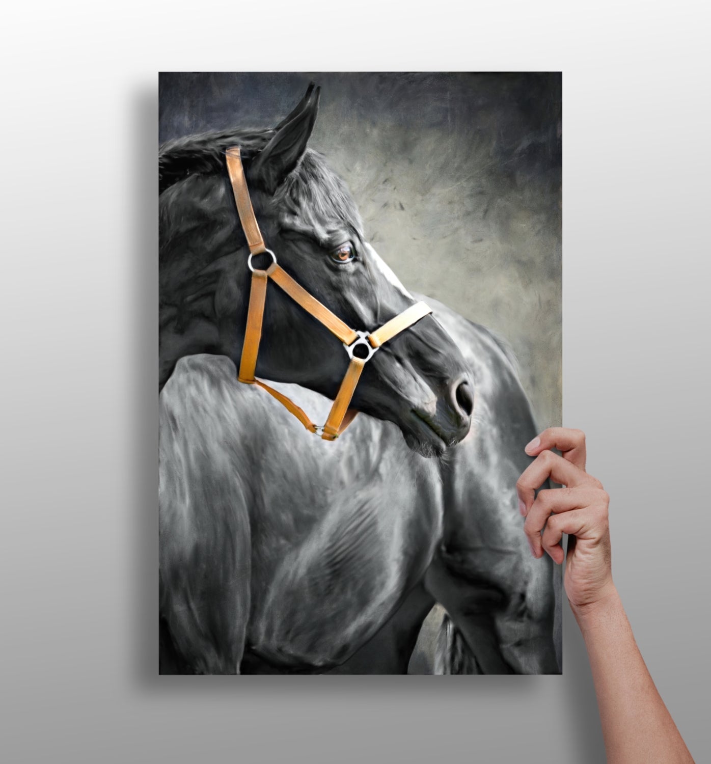 Black Horse Aluminum Print.
