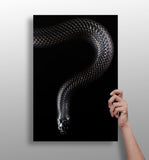 Black Snake Aluminum Print.