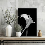 Lilly Flower Aluminum Print.