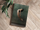 Ballet Dancer Aluminum Print.