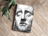 Statue Head Contemporary Aluminum Print.