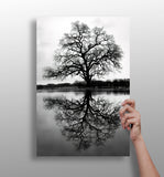 Alone Tree Aluminum Print.