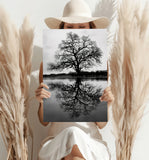 Alone Tree Aluminum Print.