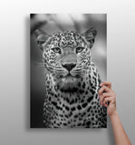 Leopard Aluminum Print.