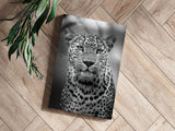 Leopard Aluminum Print.