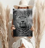 Leopard Aluminum Print.