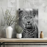 Leopard Aluminum Print.