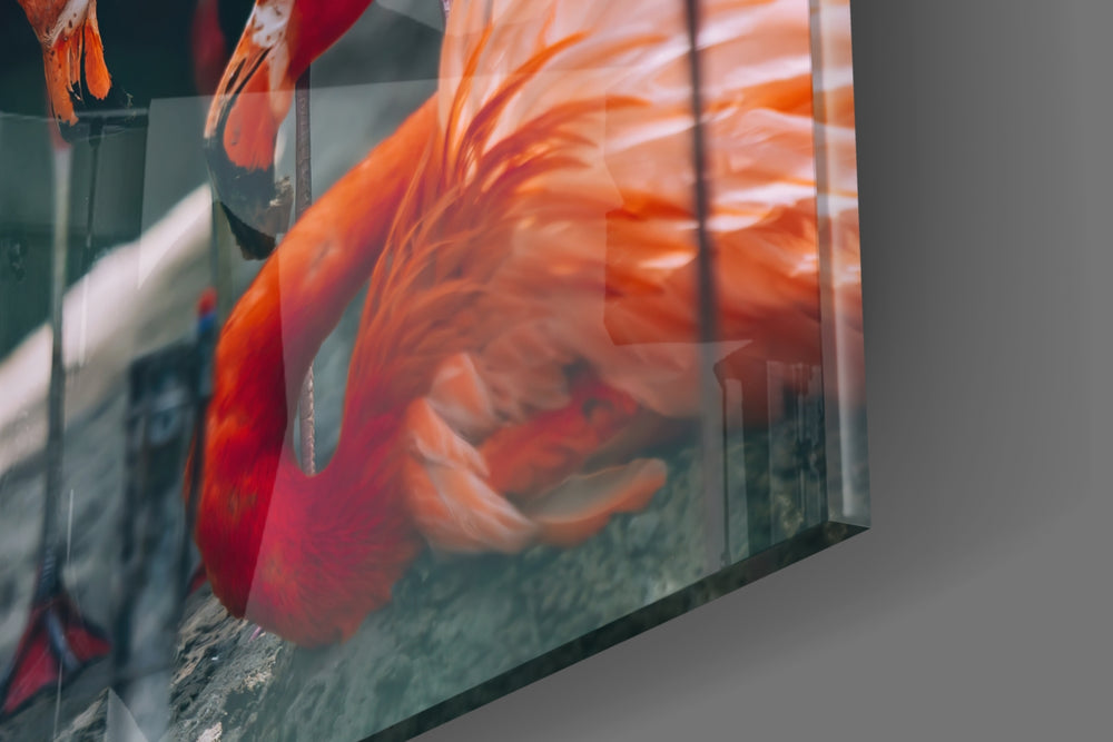 Flamingos panel catching gallery light to reveal its tactile down