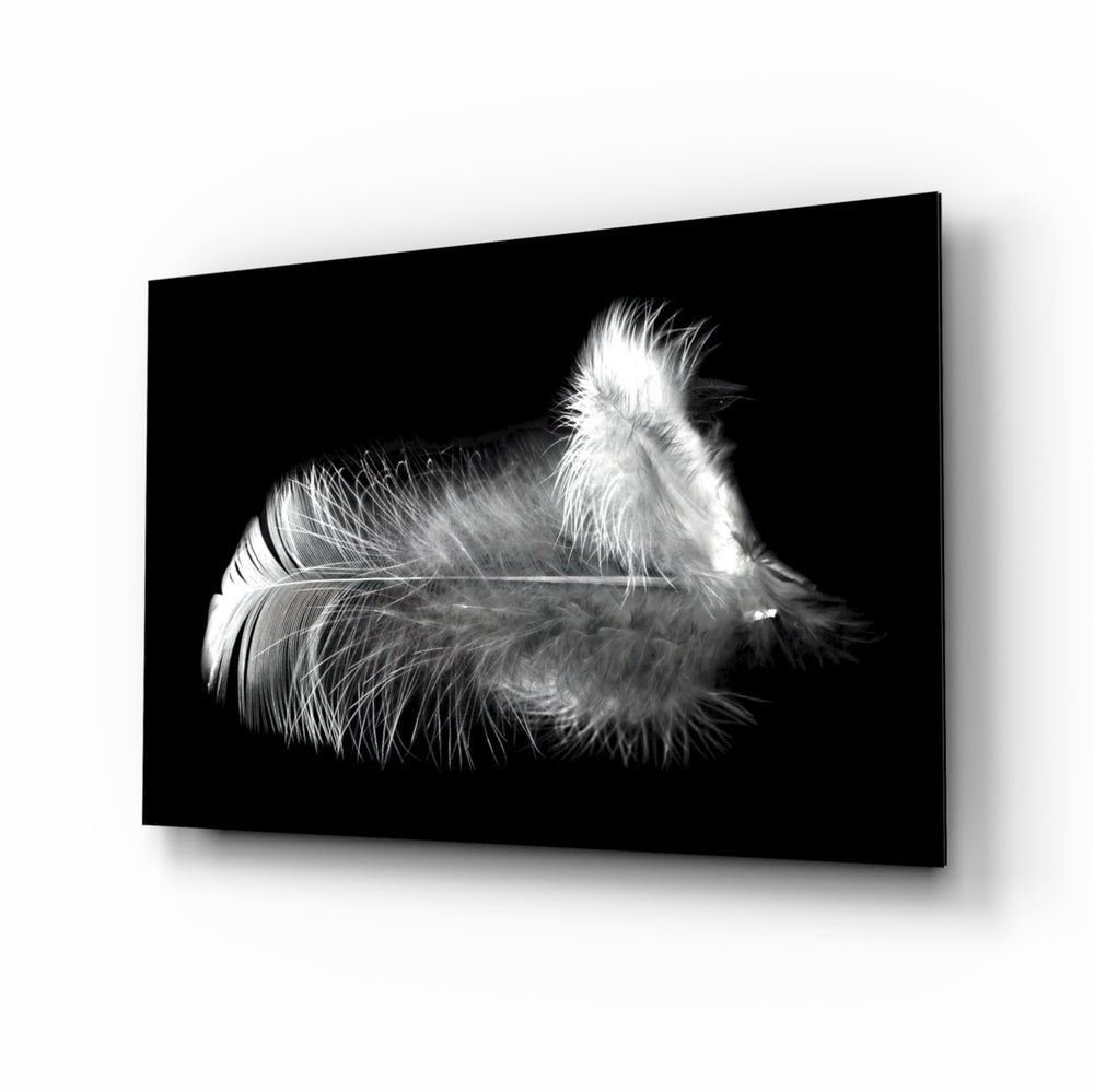 Macro-still panel bringing serene drama to a contemporary spa interior