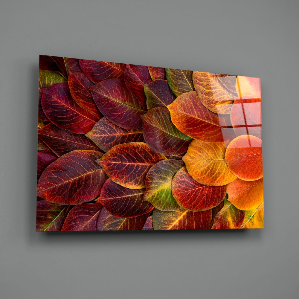 Close-up detail of veined autumn leaves overlapping