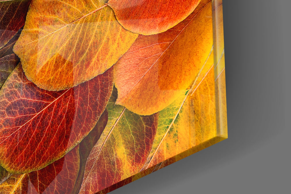 Autumn Leaves panel catching gallery light to reveal its tactile vein