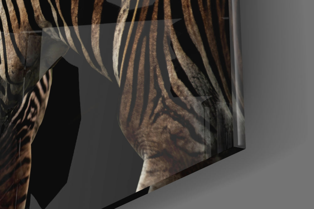 Zebras panel catching low light to reveal its tactile contrast