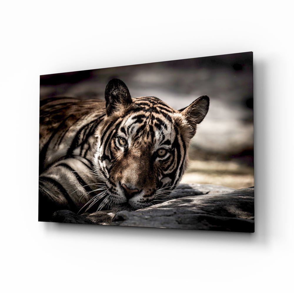 Sepia-portrait panel bringing naturalist drama to a contemporary living space