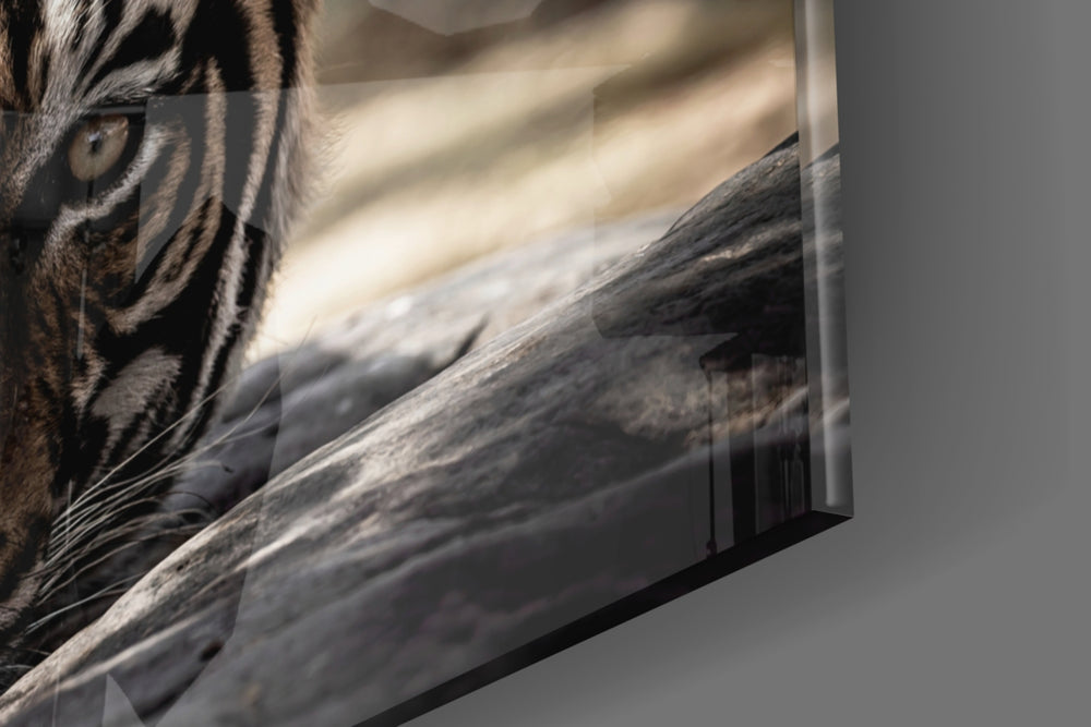 Resting Tiger panel catching low light to reveal its tactile stripe