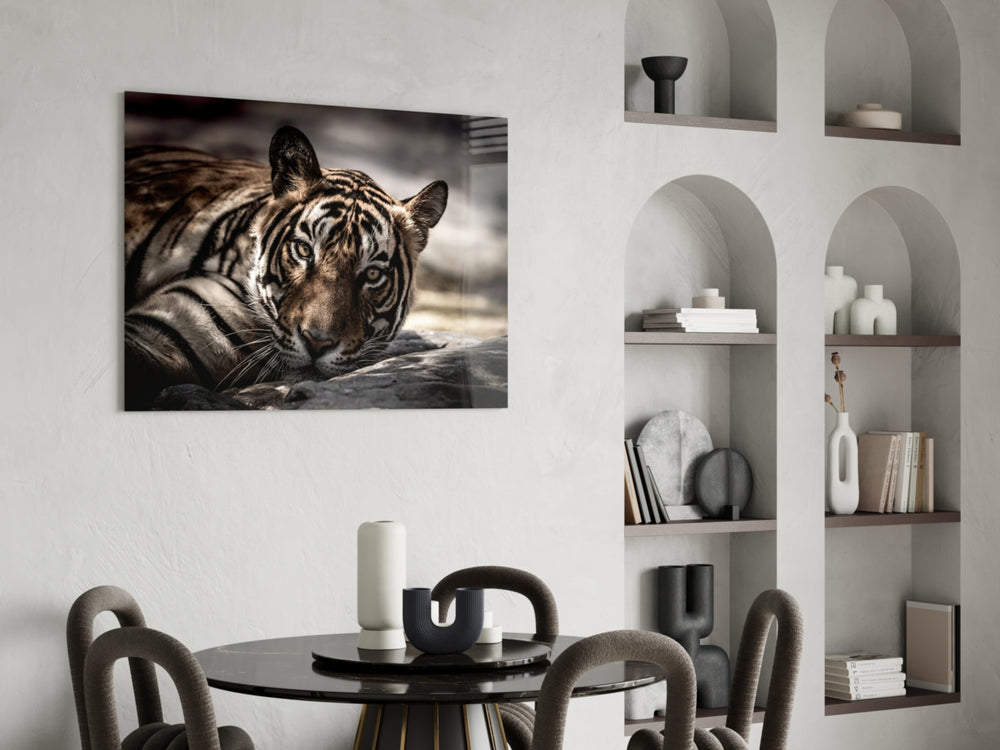 Resting Tiger glass print enhancing a foyer with editorial drama