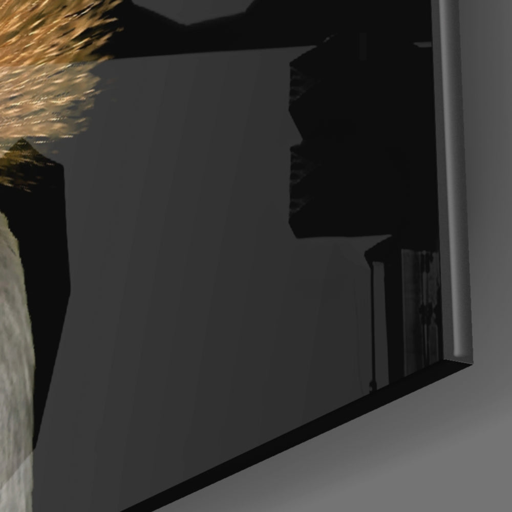 Crowned Crane panel catching low light to reveal its tactile bristle